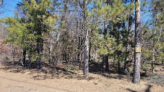 5 Lumberjack Ct, Grayling Township, MI 49738