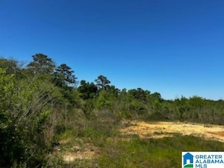 9700 Bates Ave, Birmingham, AL 35217