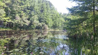 41 Franklin Pierce Dr, Webster, NH 03303
