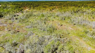 XX6 John Marsh Rd, Bonifay, FL 32425