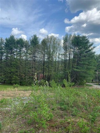 40 Sturgis Cir, Grantham, NH 03753
