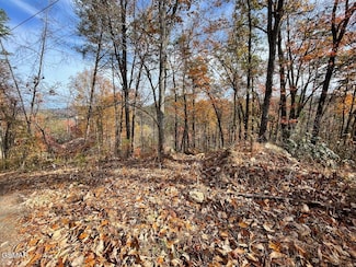 Lot 33R Sugar Mountain Way, Pigeon Forge, TN 37863