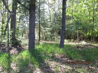 0 2nd St Unit 16000417, Pentwater, MI 49449