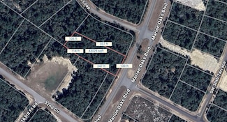 TBD Marion Oaks Blvd, Ocala, FL 34473