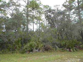 22 Piper Ln, Panacea, FL 32346