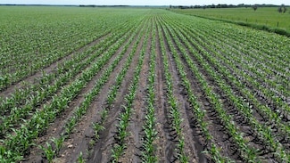 46160 Sd Hwy 15, Wilmot, SD 57279