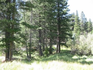 Lot 17 Aspen Grove Ln Unit 17, June Lake, CA 93529