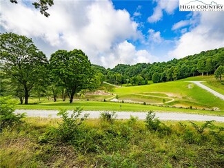 WR14 Firethorne Ln, Elk Park, NC 28622