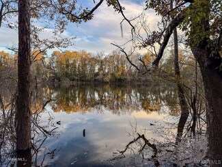 0 Dunn Lake Rd, Leroy, AL 36548