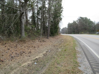 2171 Red Hill Rd, Eclectic, AL 36024