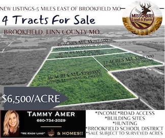 0 Katy Dr, Yellow Creek Township, MO 64628
