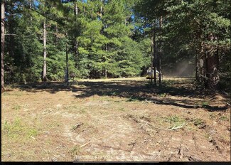 5p Shad Rd, Williston, SC 29853