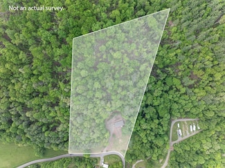 1000 Mining Town Rd, Mountain City, TN 37683