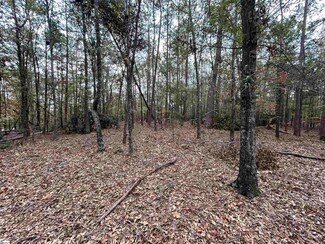 711 Nash Mill Rd, Fountain Inn, SC 29644