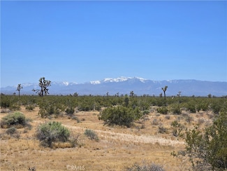 10 Acres Beaver Ave, Adelanto, CA 92301