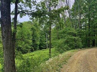 Lot 1 Mason Hill N Unit 1, Starksboro, VT 05487