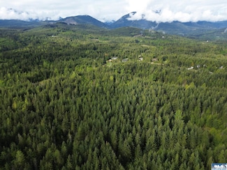 92+ Acres Headwaters Ln Unit O'Brien Road, Port Angeles, WA 98362