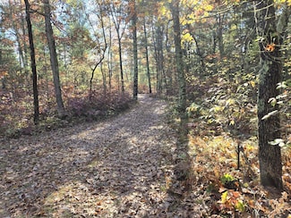 V/L Coolidge Dr, Lilley Township, MI 49309