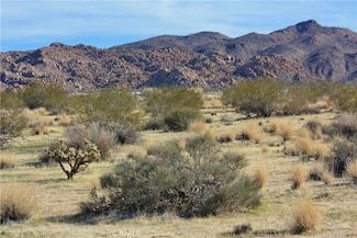 64647 Foothill Dr, Joshua Tree, CA 92252
