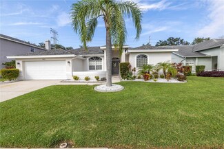 4889 Edgewater Ln, Oldsmar, FL 34677