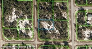 1045 Iguana St, Lake Placid, FL 33852