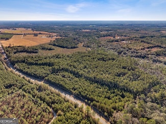 0 State Road 185 Unit 10424302, St. George, GA 31558