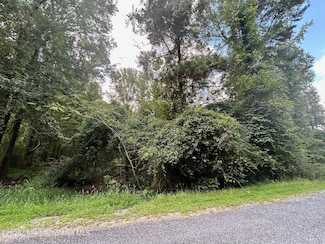 Lot 16 Oakwood Ln, Alexander City, AL 36853