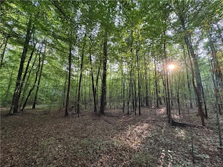 6200 Jackson Rd, Waverly, AL 36879