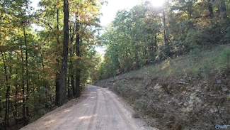 333-A Owens Switch Rd, Gadsden, AL 35901