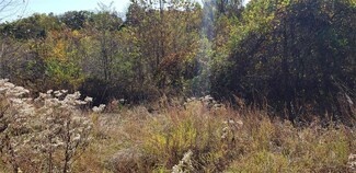 1352 Homestead Heights Dr, Chesterfield, MO 63005