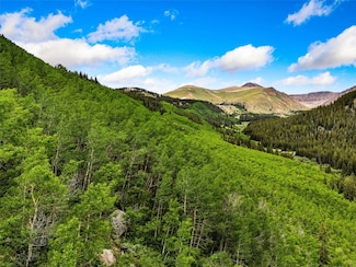 999 Gun Club Rd, Leadville, CO 80461
