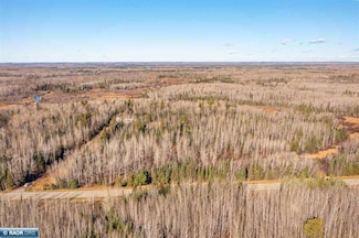 TBD Hwy 1, Bearville Township, MN 55723