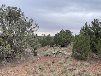 1 Cr 8117, Concho, AZ 85924