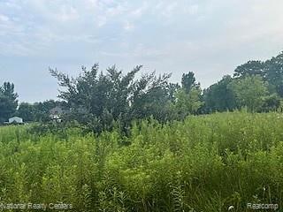 00 Stow Rd, Conway Township, MI 48892