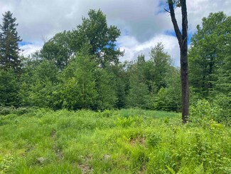1420 Vt Route 9 Route, Searsburg, VT 05363