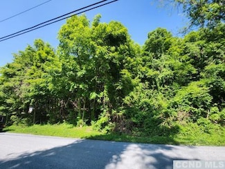 0 Brickyard Rd, New Lebanon, NY 12125