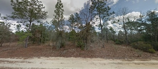 0 Panama St, Interlachen, FL 32148
