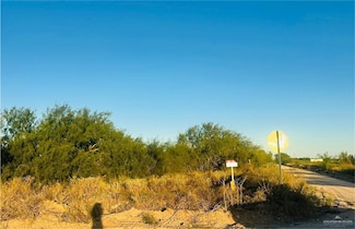 TBD Bucy Rd, Hargill, TX 78549