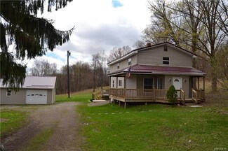 3965 Riceville Rd, MacHias, NY 14101