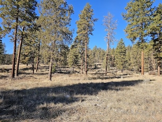 1075 Timber Ridge Loop, Klamath Falls, OR 97601
