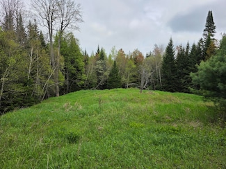 00 Tyler Rd, Franklin, NY 12989