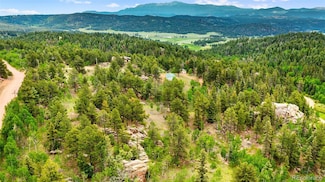 94 & 146 Cr-403, Florissant, CO 80816