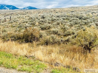 TBD Sagebrush Ave, Salmon, ID 83467