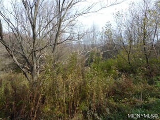 0 Hardscrabble Rd Unit 1704293, Bridgewater, NY 13313
