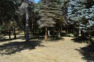0 Mcconkey Ln, McCleary, WA 98557