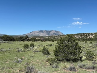 27 Colorado Land and Grazing, Gardner, CO 81040