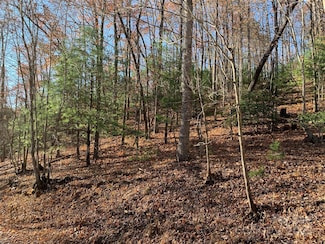 TBD (Lot 1) Dugger Firetower Rd, Cajah's Mountain, NC 28645