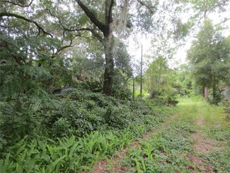 16865 SE 3rd Place, Silver Springs, FL 34488