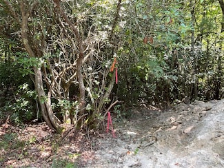 9999 Erwin Hill Dr, Etowah, NC 28739