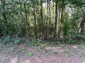 4976 Mountain Rd Unit 22, Bessemer, AL 35023